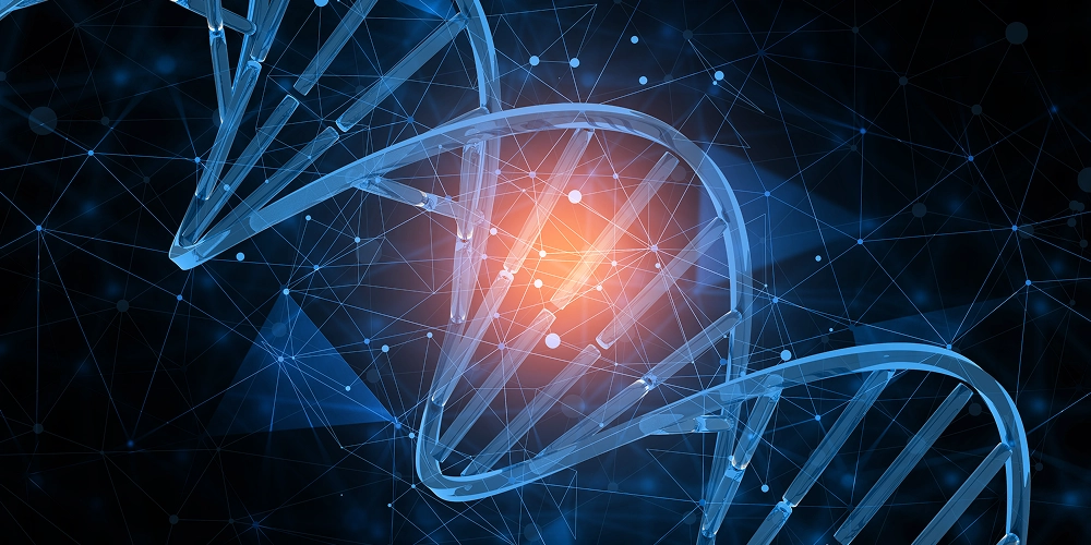 White List DNA