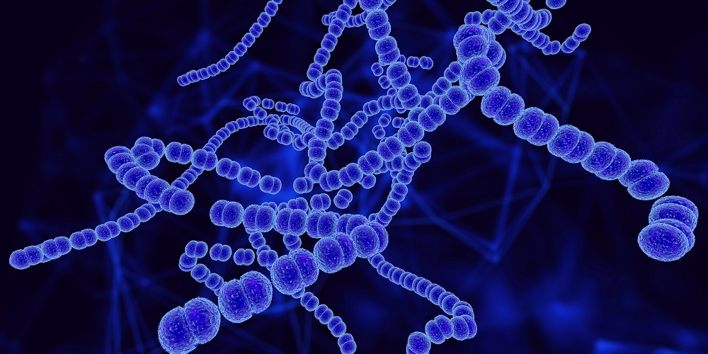 Single Cell Sequencing