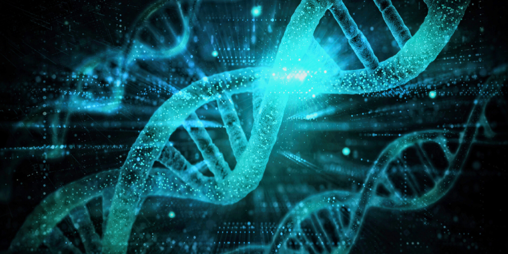 CBioPortal