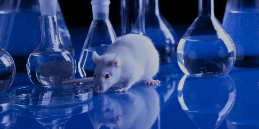Rethinking Animal Management_ A Move Towards Technological Innovation