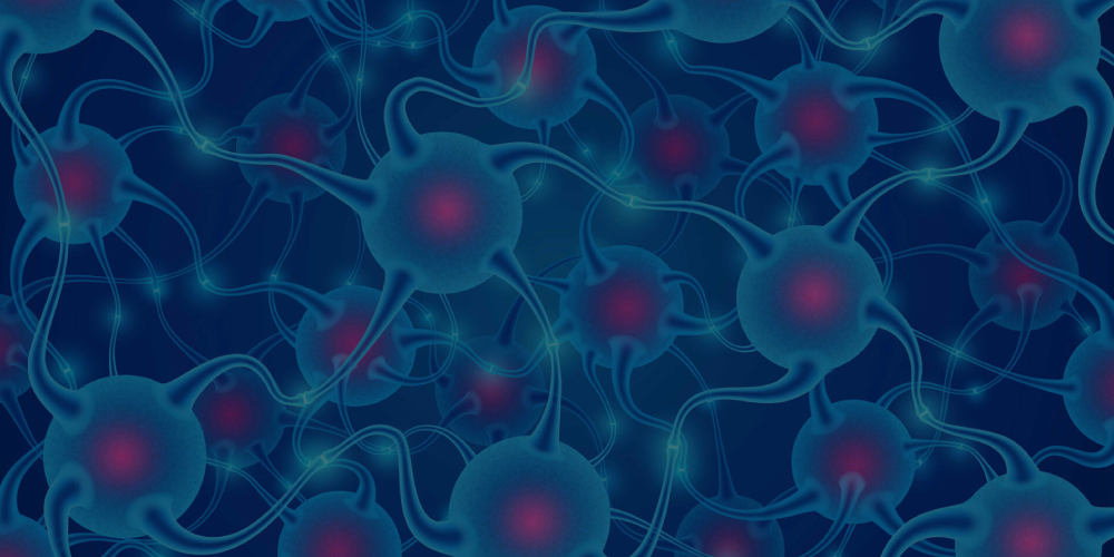 Single Cell Omics