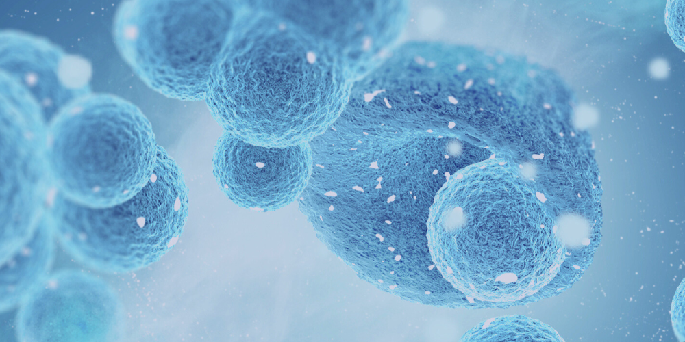 Unveiling Drug Targets With The Power Of Bioinformatics Orchestration
