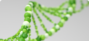 finding-our-google-feature