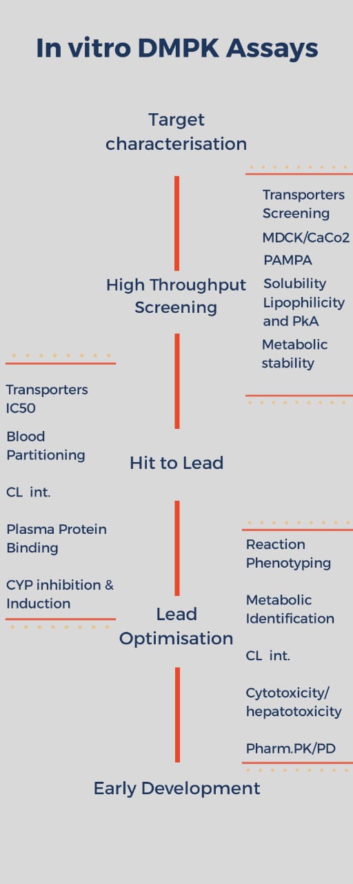 In-vitro-DMPK-Assay